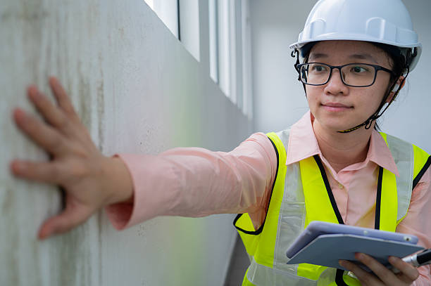 Mold Damage Restoration and cleanup